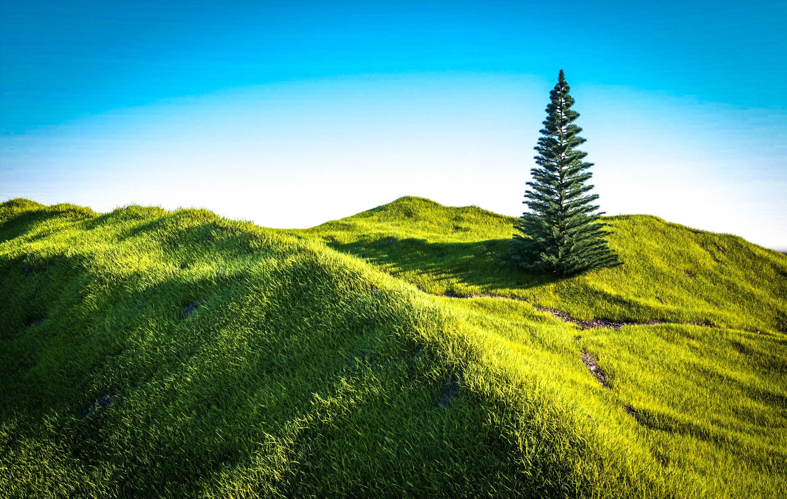 Hill and Tree Image